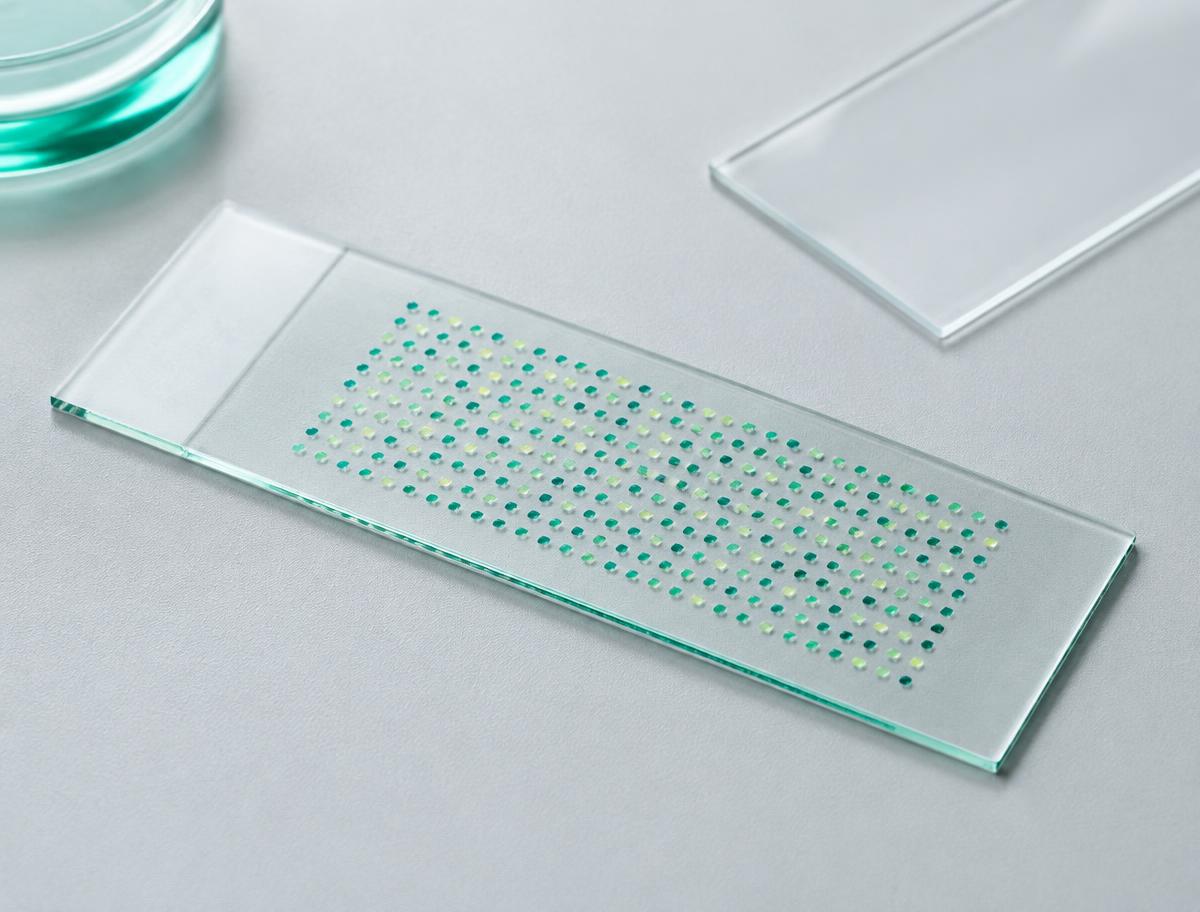 Illustrative microarray slide with sample spots